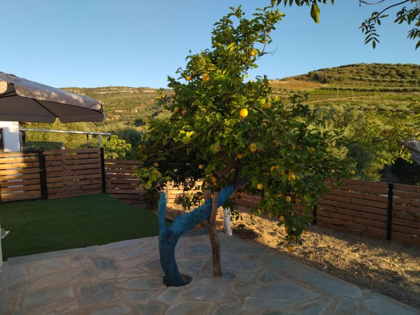Kamara With Private Pool * Vasilies